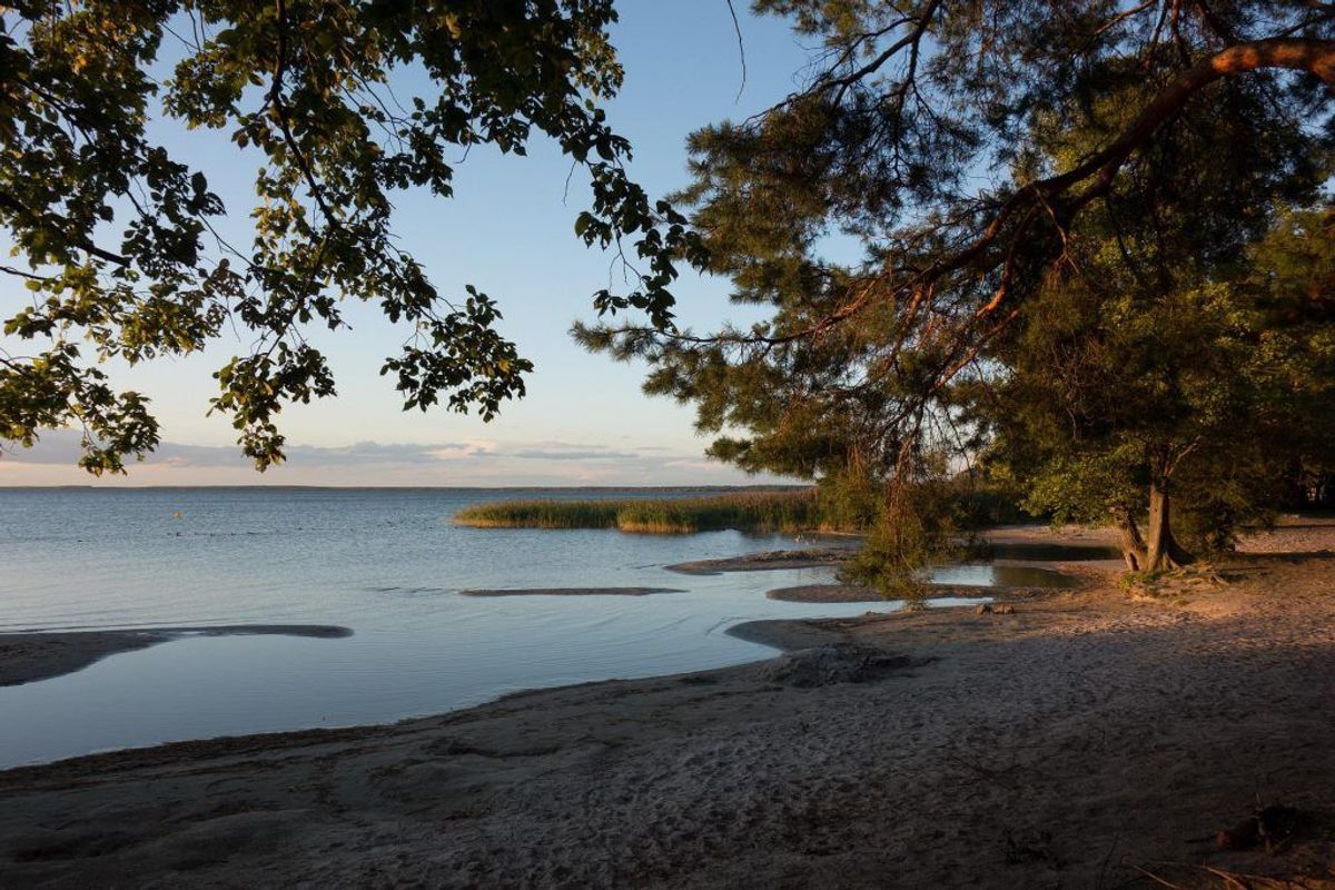 Strand von Müritz an der Mecklenburgischen Seenplatte