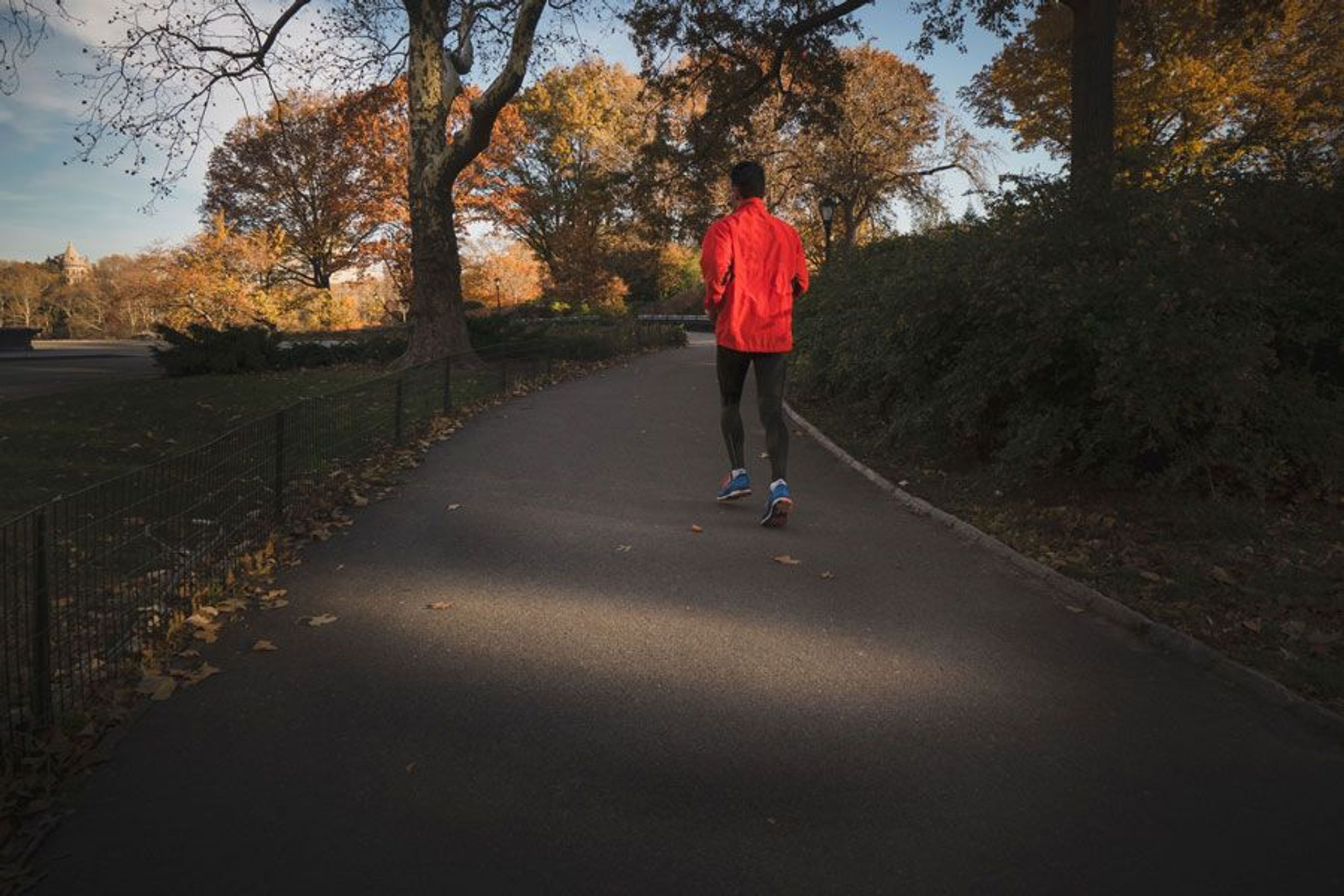 Sportler mit roter Jacke im Park beim Joggen