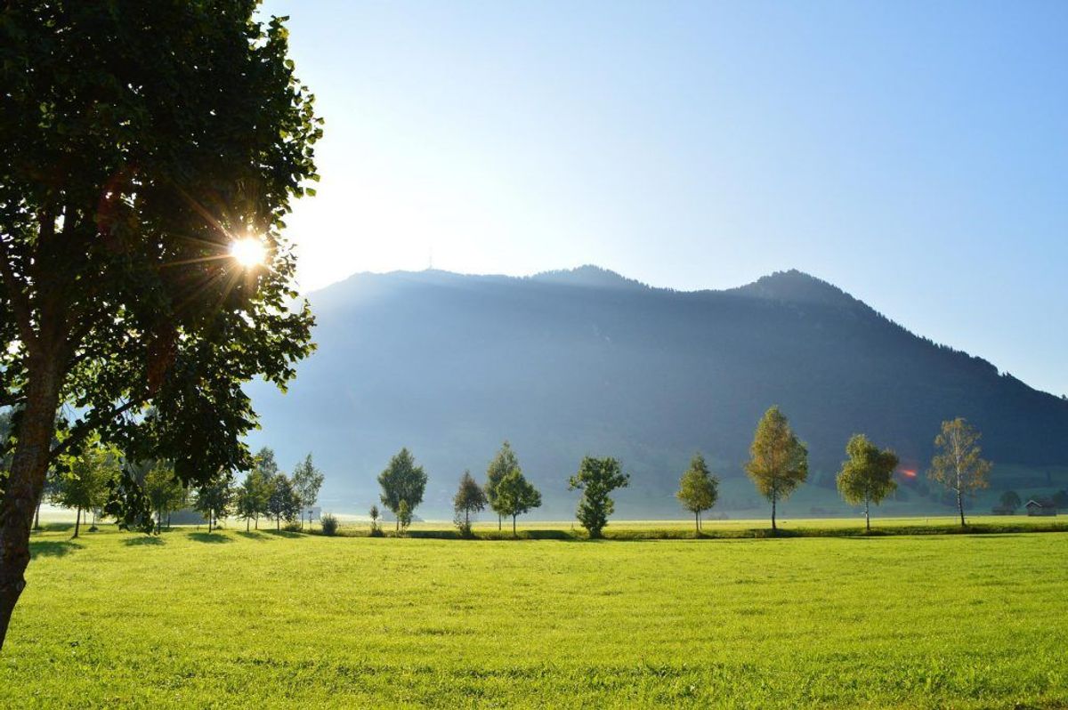 Blick auf den Grünten bei Sonnenaufgang