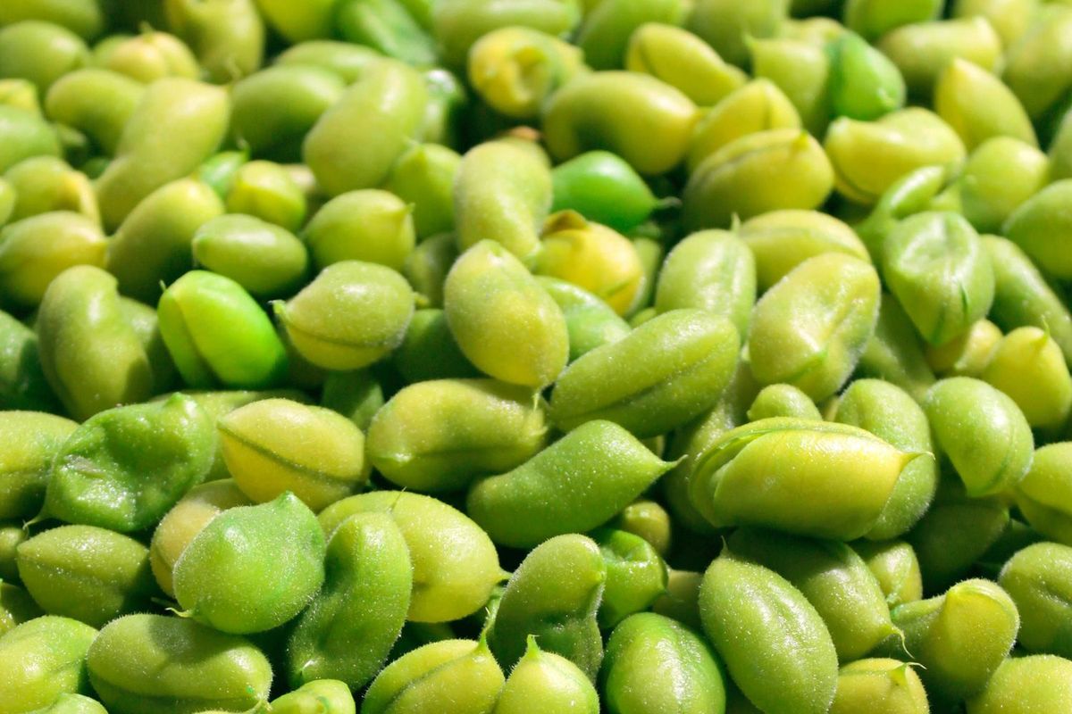 Edamame Nahaufnahme