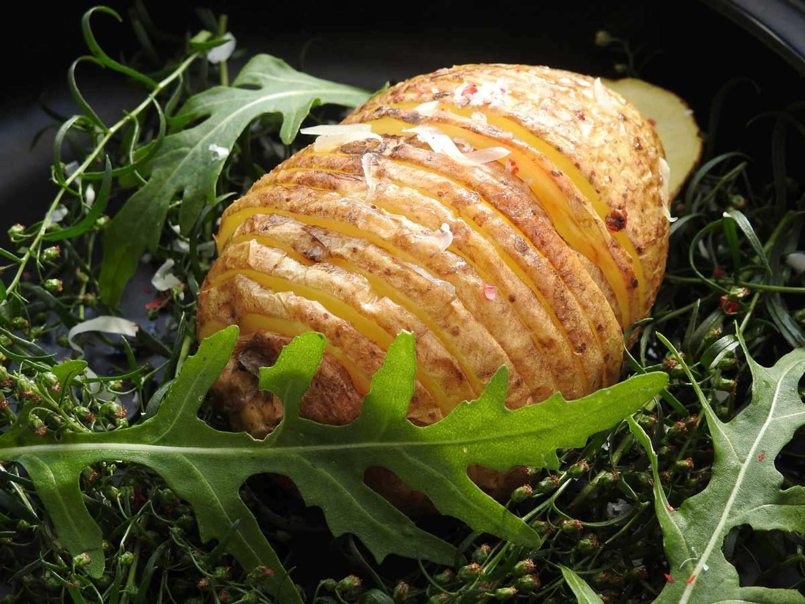 Fächerkartoffel mit Rucola