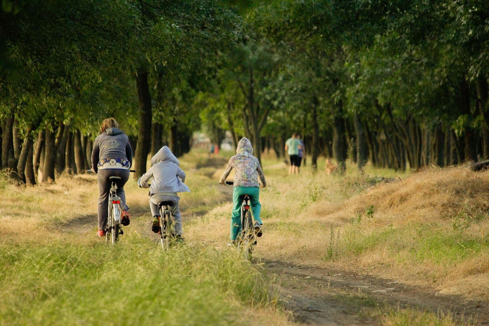 Familie beim Radfahren im Wald mit warmer Kleidung