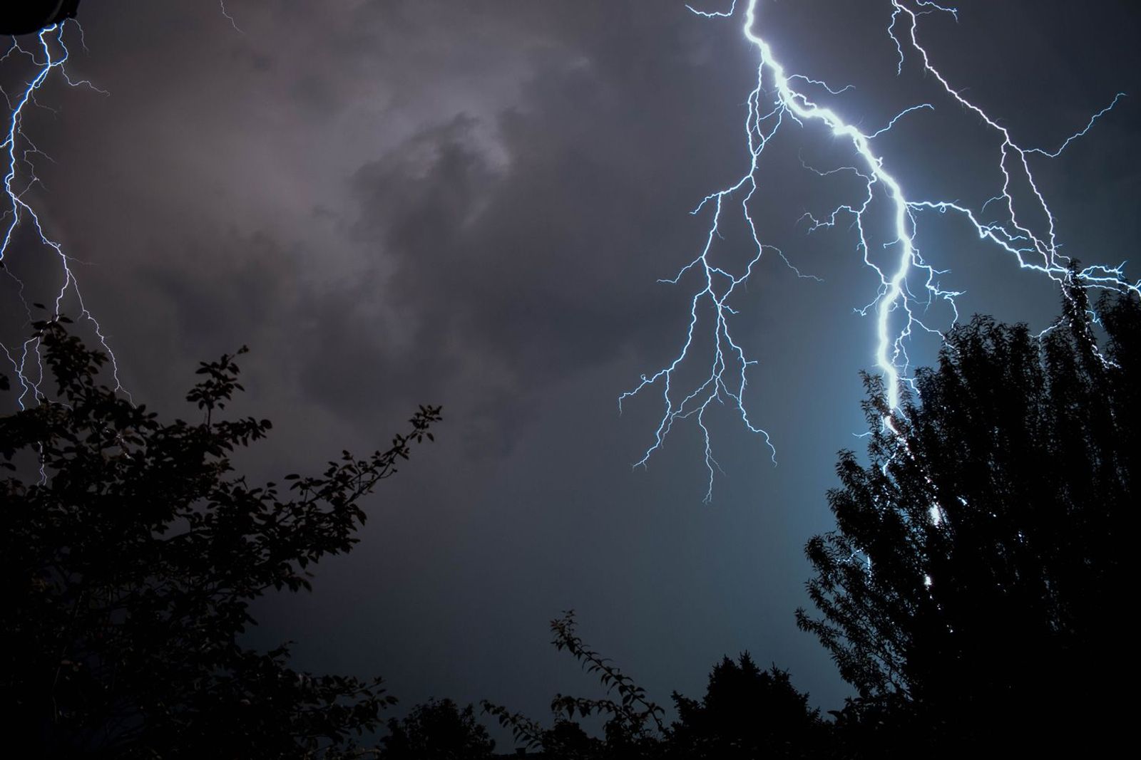 Blitze über Wald im Dunkeln