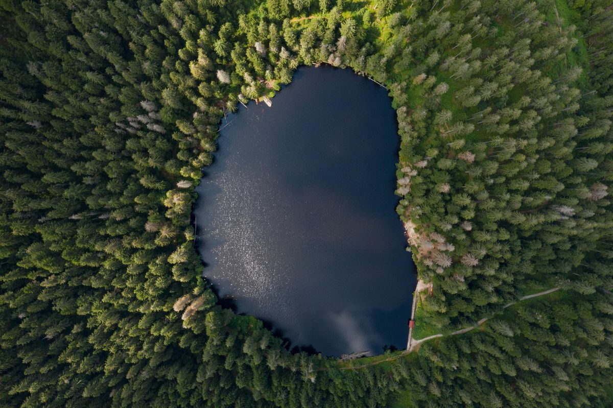 Glaswaldsee im Schwarzwald