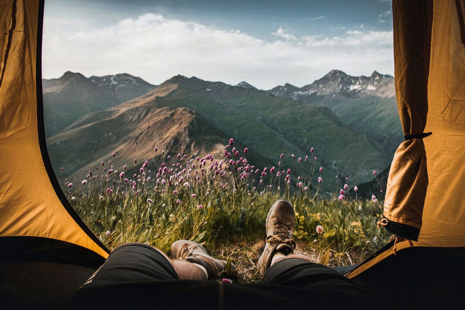 Blick aus Zelt auf Wanderstiefel, lilafarbene Blumen und Bergkulisse