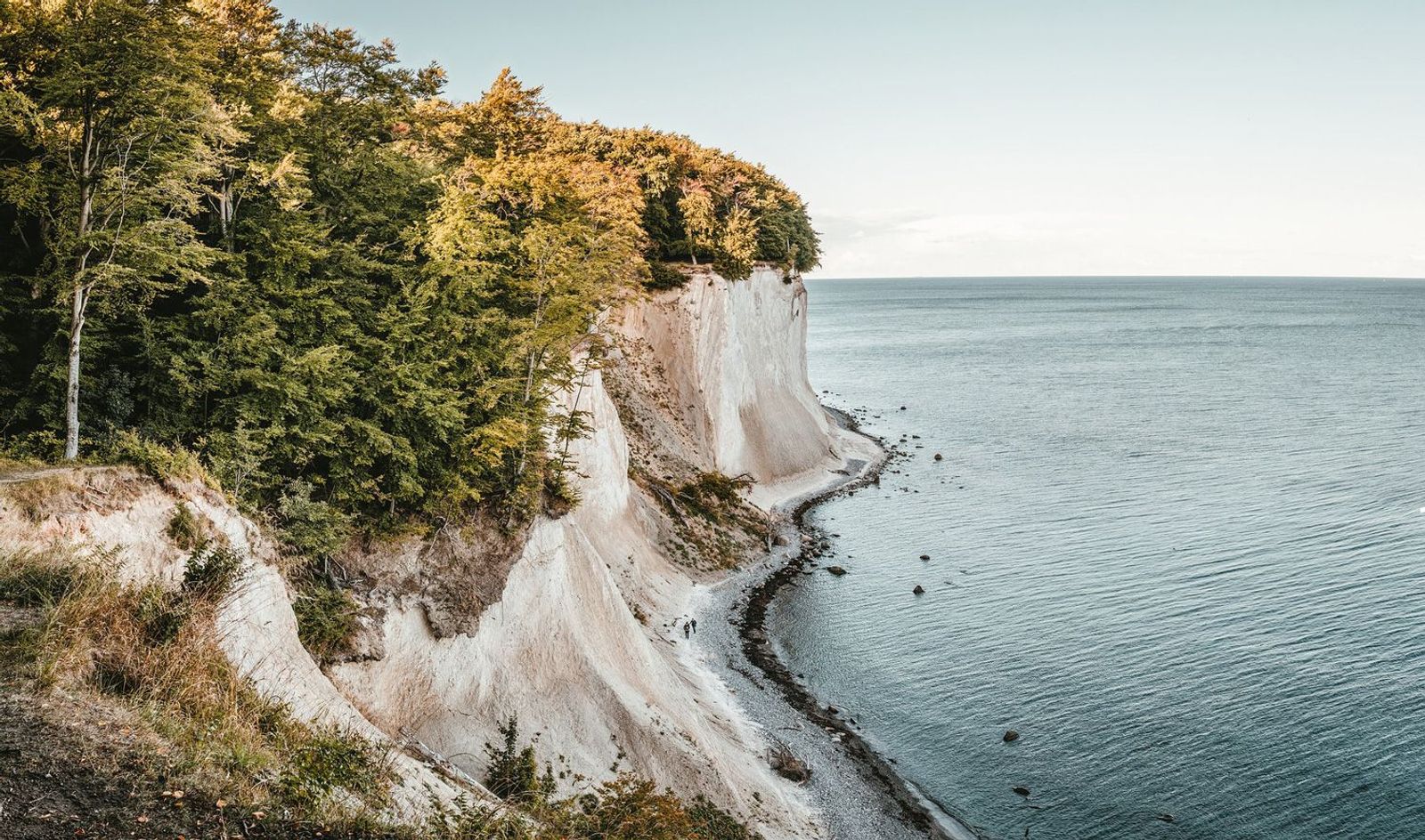 Nationalpark Jasmund auf Rügen mit Blick auf das Meer