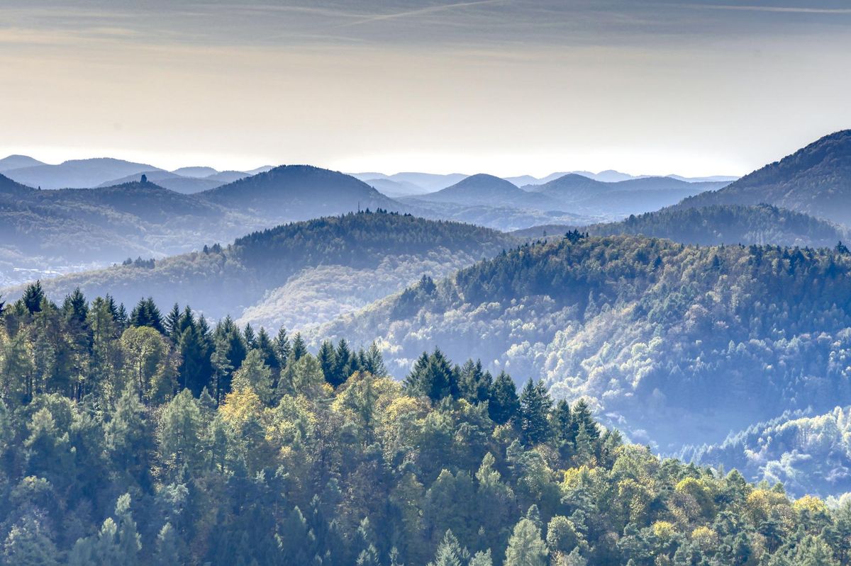 Aussicht auf die Hügel des Pfälzer Waldes