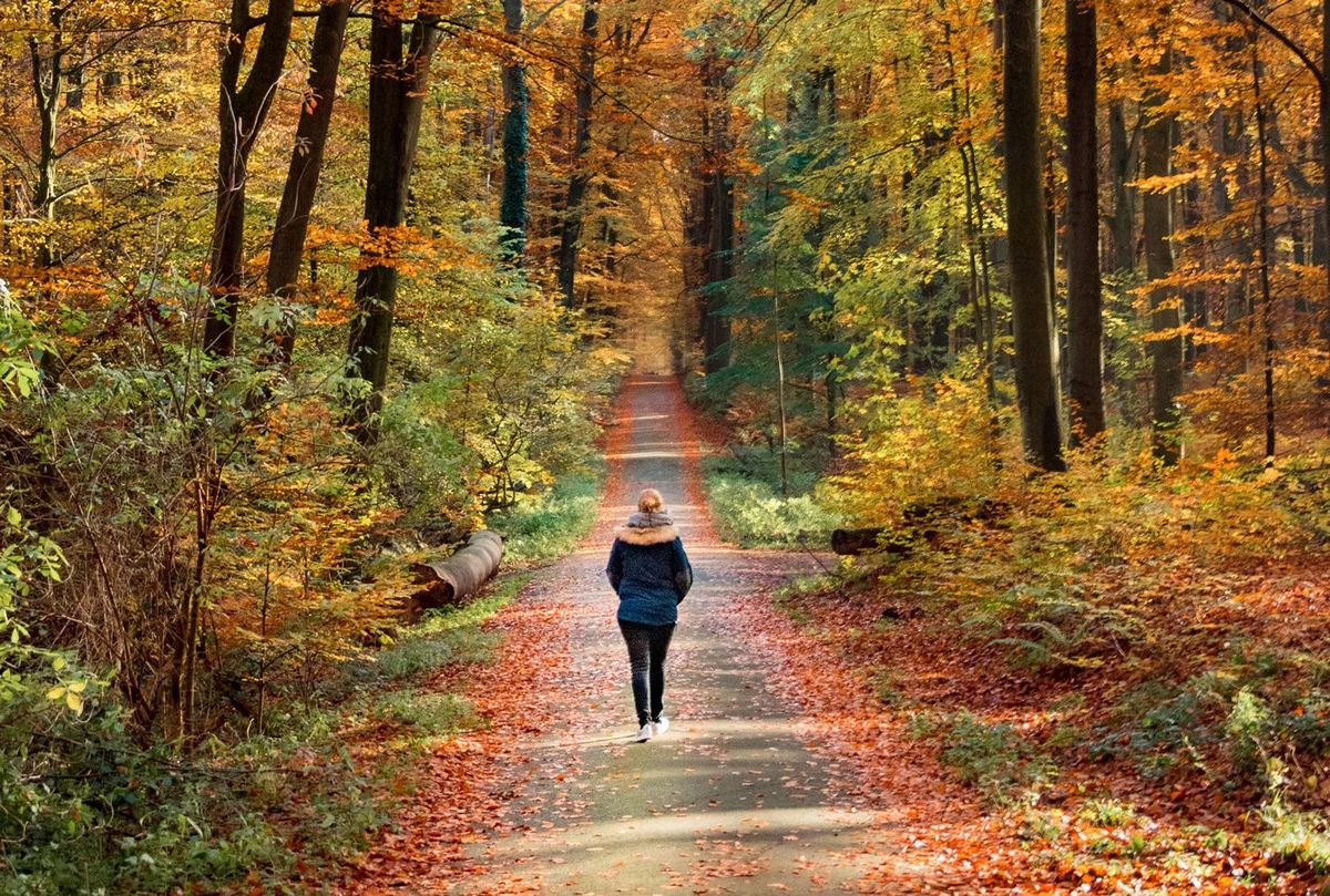 Frau bei einem Spaziergang durch einen Herbstwald