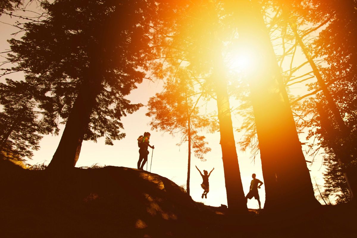 Silhouette von Wanderern im Herbst bei Sonnenschein