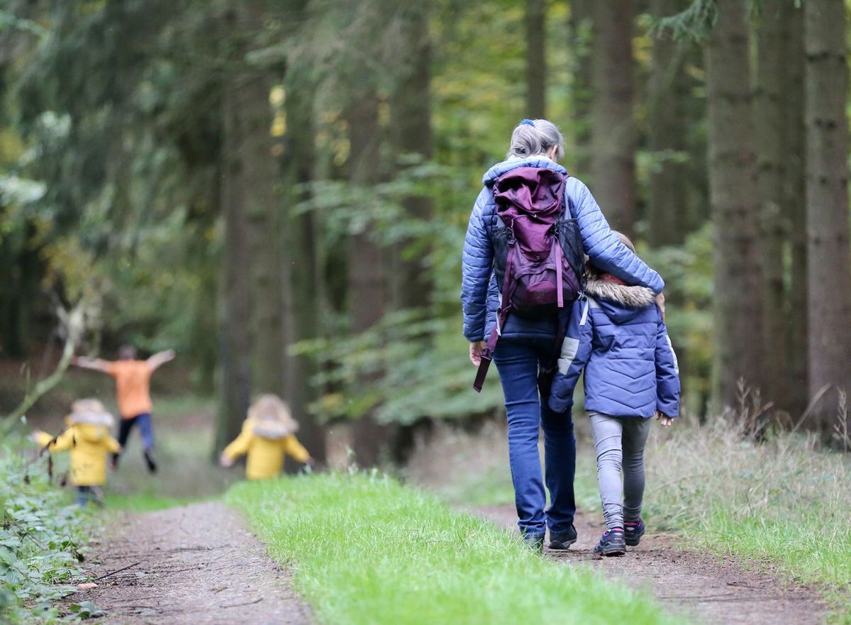 Mutter und Kind beim Wandern im Wald mit anderen Kindern im Hintergrund