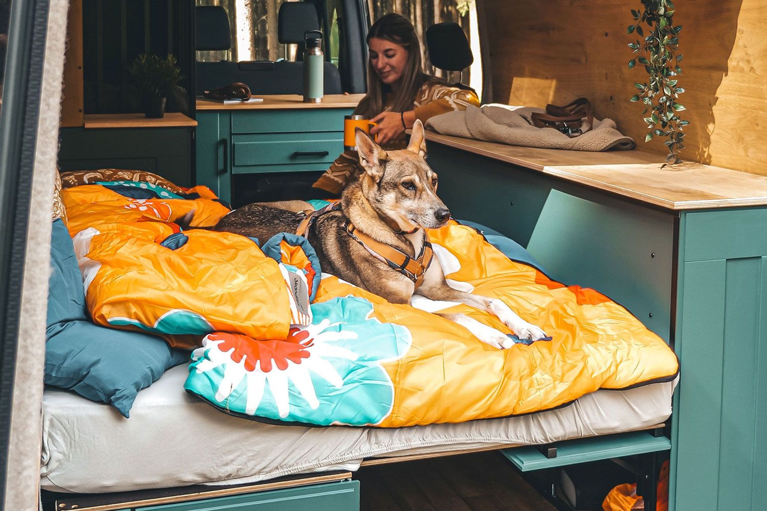 Schlafsack Sovro im Bett eines Campervans mit Hund drauf